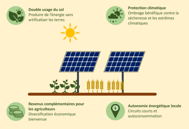 L’agrivoltaïsme : opportunité ou menace pour la transition énergétique et l’agriculture en Belgique ?
